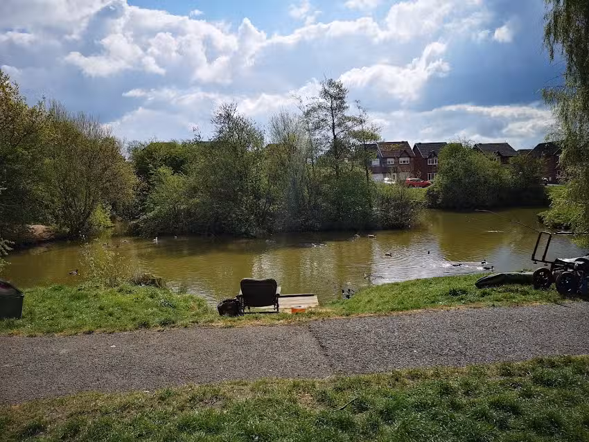 Old George&rsquo;s pond