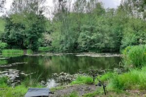 Old Hall Farm Fishery