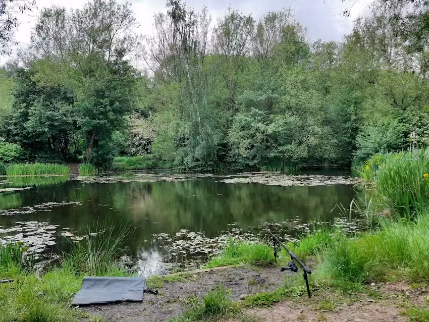 Old Hall Farm Fishery