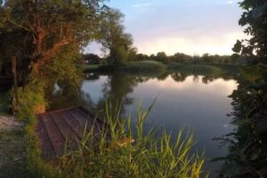 Orchard Close Fishery