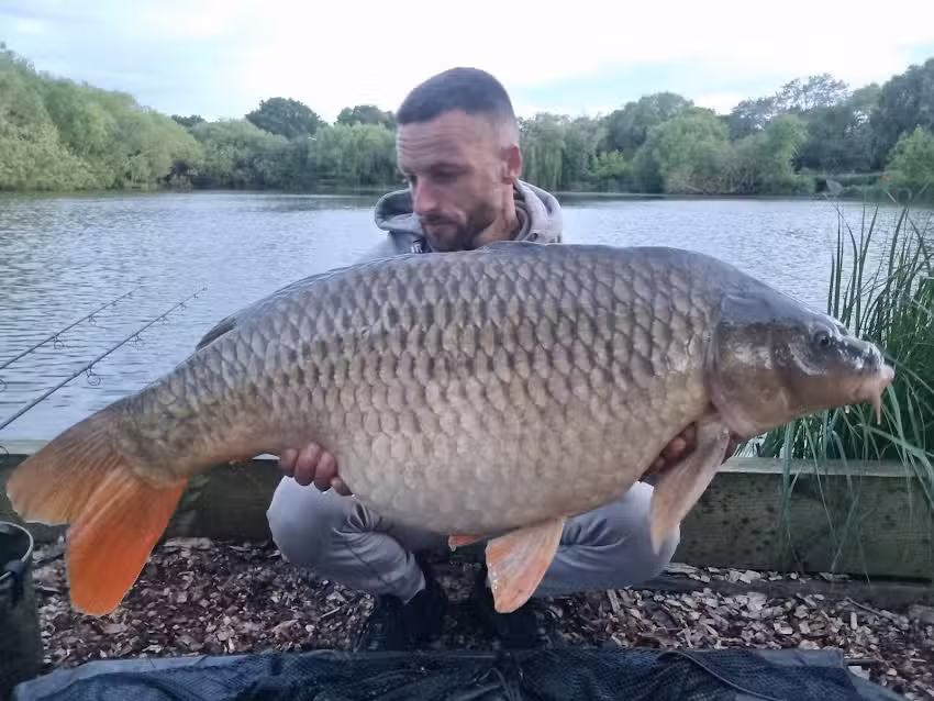 Park Lake Fisheries