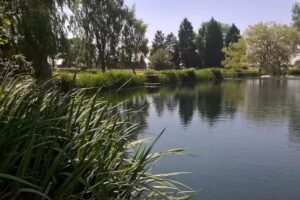 Parkside Trout Lakes