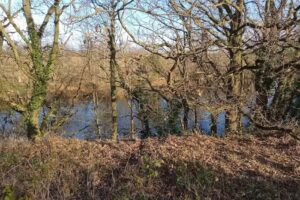 Paxman’s Angling Club