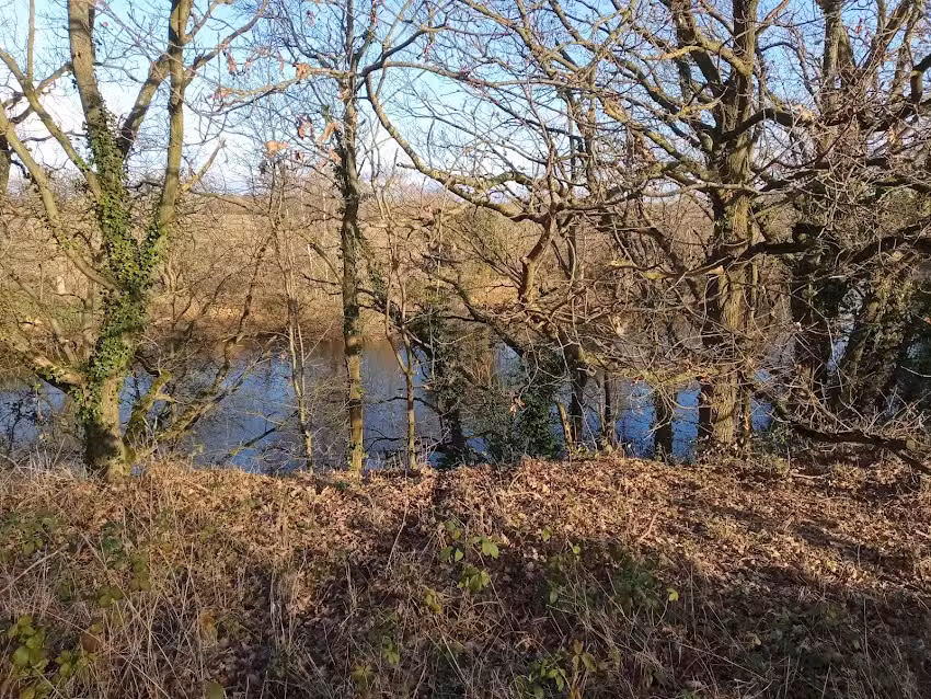 Paxman’s Angling Club
