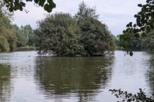 Pebmarsh Lake