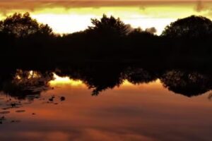 penuwch premier carp fishery