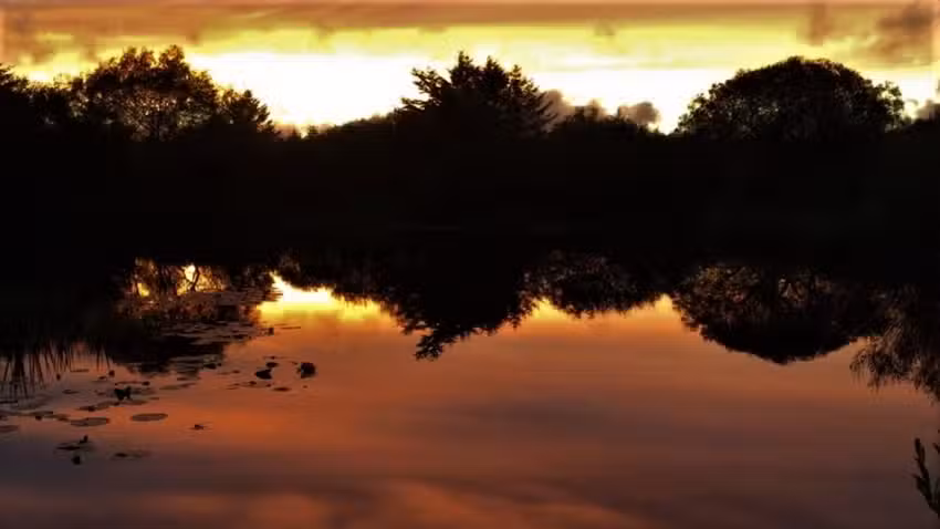 penuwch premier carp fishery