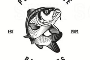 Performance Particles ltd