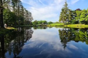 Pinewood Trout Fishery.
