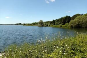 Pitsford water fishing lodge
