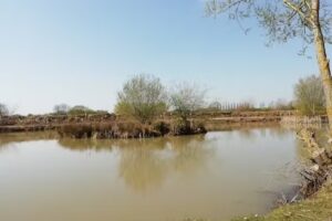 Poppleton Fishing Lakes