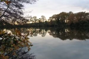 Portsmouth & District Angling Society