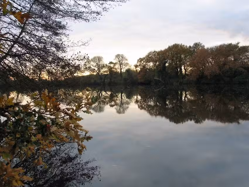 Portsmouth & District Angling Society
