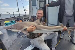 Predator Marine Limited