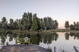 Q Lake Fishery