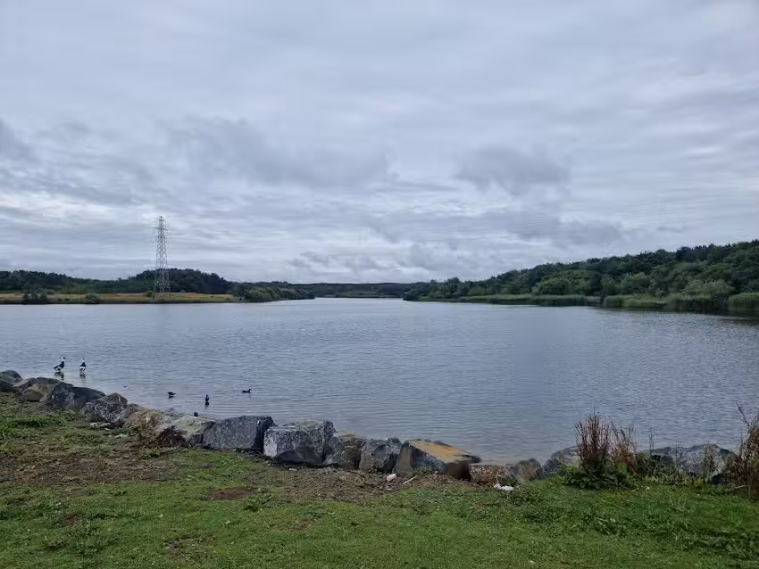Queen Elizabeth Lake