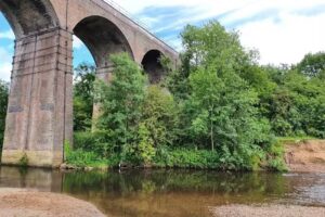Reddish Vale Fishing Pond