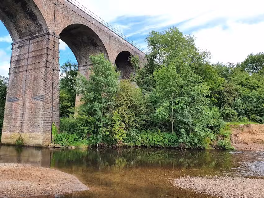 Reddish Vale Fishing Pond
