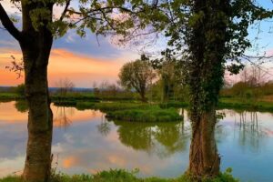 Revels Fishery & Tackle Shop