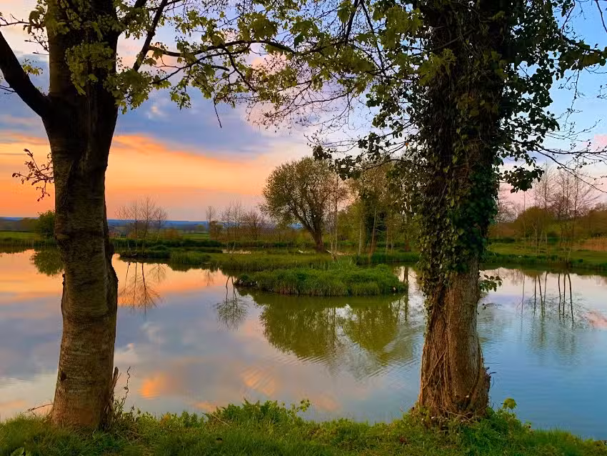 Revels Fishery & Tackle Shop