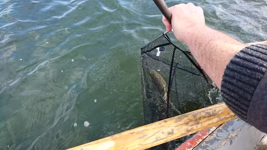 Ringstead Grange Trout Fishery