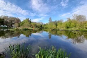 Riverside Road Fishery (Verulam Angling Club)