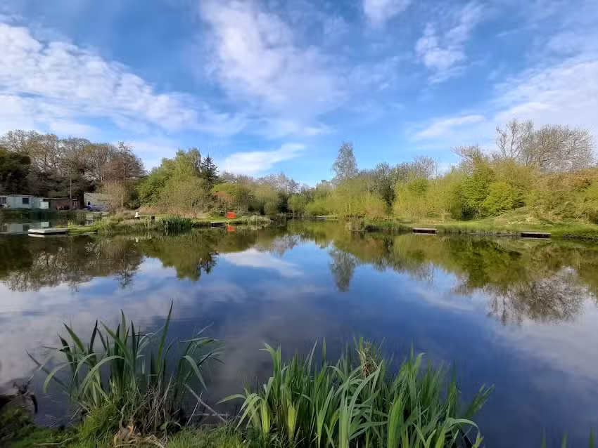Riverside Road Fishery (Verulam Angling Club)