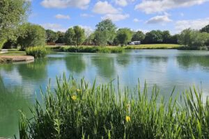 Rob’s Junction coarse & carp fishery