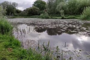 Rocklands Mere Fishery