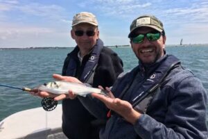 Salty Dog Game Fishing Ltd