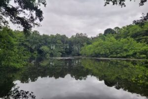 Sand Hutton Gravel Pits