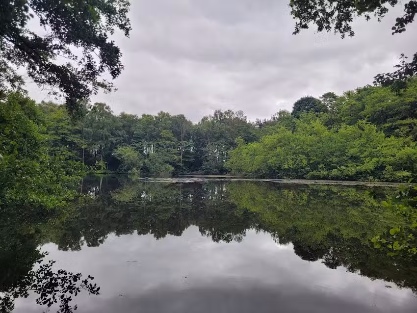 Sand Hutton Gravel Pits