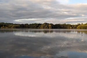 Sandiway Lakes – Warrington Anglers Association members only