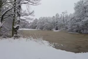 Scoulton Mere Fishery
