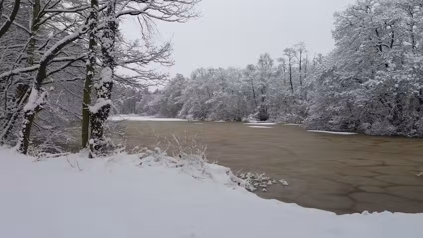 Scoulton Mere Fishery