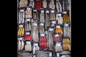 Seafreeze Frozen Fishing Baits