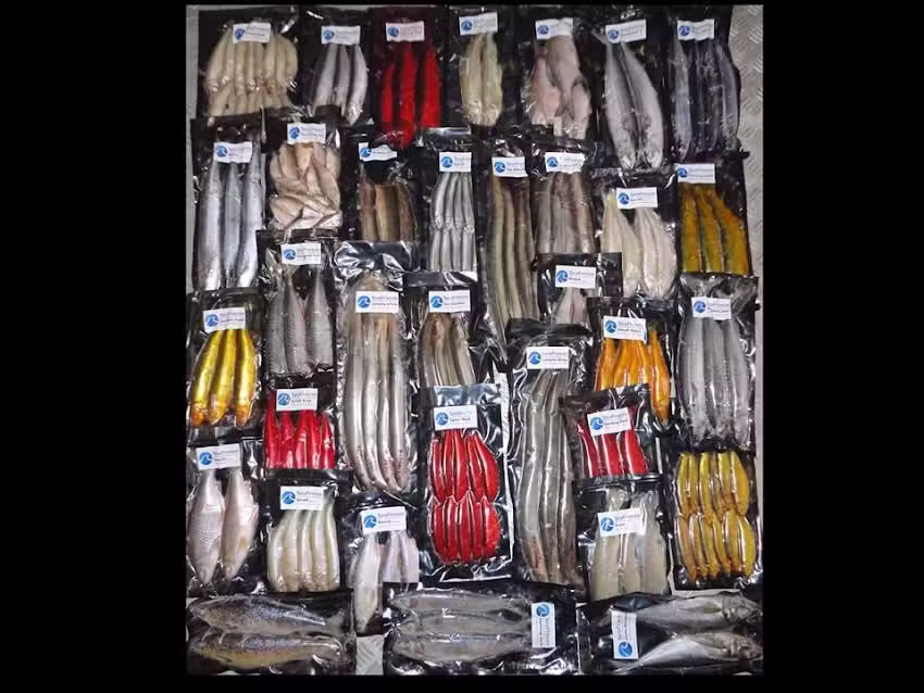 Seafreeze Frozen Fishing Baits