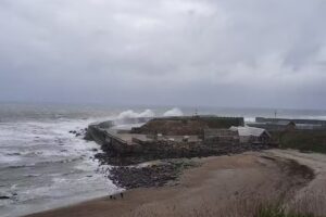 Seaham Sea Angling Club