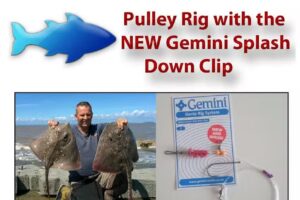 Seaswest Online Shop