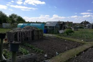 Shropshire Anglers Federation