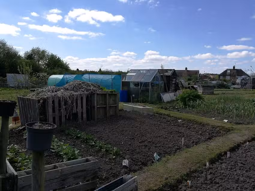 Shropshire Anglers Federation