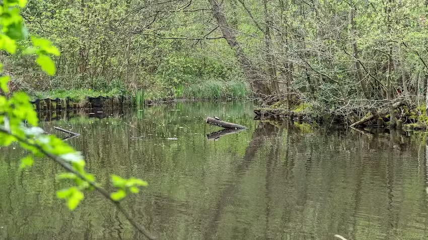 Southcrest Woods Fishing Pond