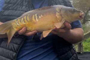 Spion Kop Fishing Lakes