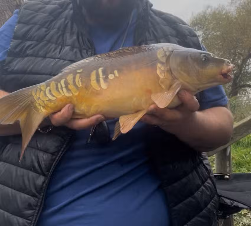 Spion Kop Fishing Lakes