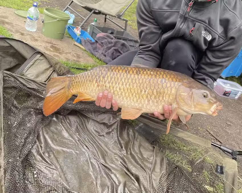 Spring View Fisheries