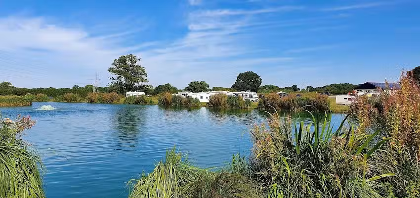 Stamford Way Fisheries