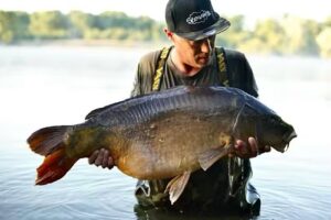 Steamies by Individual baits