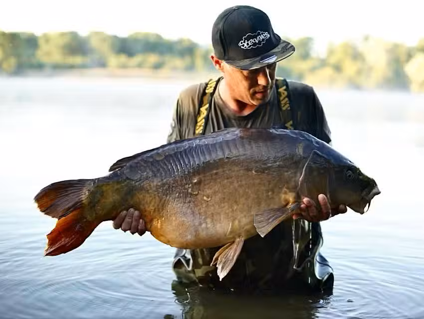 Steamies by Individual baits