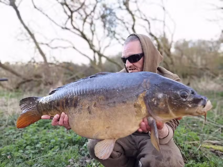Sticky Baits