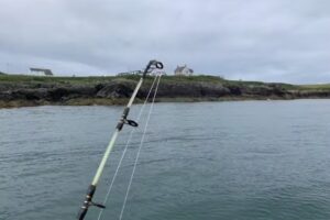 Stingray Angling Charter